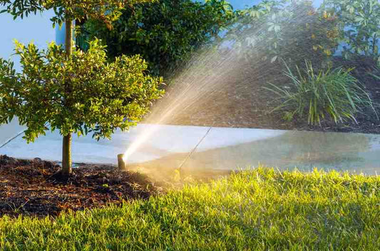 A Beginner's Guide to Pressure Pumps for Your Home & Garden